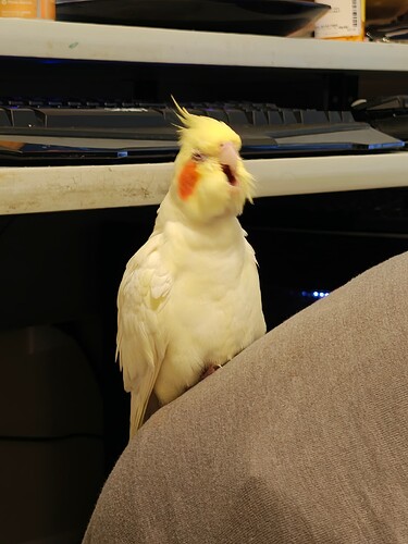 IMG_20250628_193308514_HDR