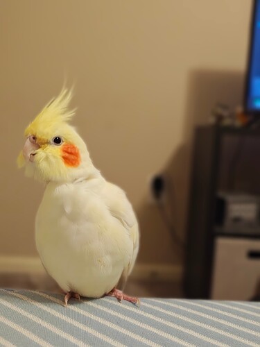 IMG_20251003_192452710_HDR_PORTRAIT