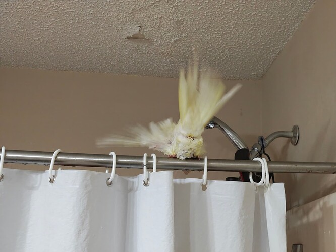 IMG_20251010_131506218_HDR